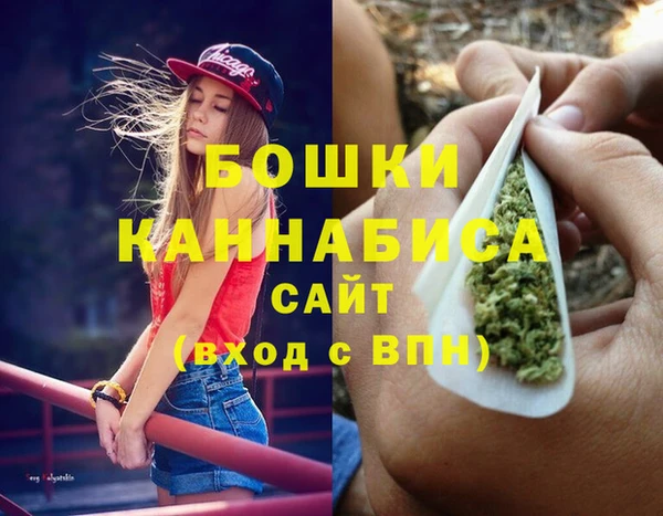 сатива Белокуриха
