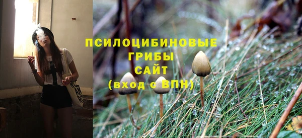 сатива Белокуриха