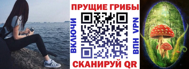 Купить  Надым  Галлюциногенные грибы Psilocybine cubensis 